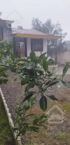 300مترزمین120متربنادوبلکس ویوجنگل کوه پایه ای