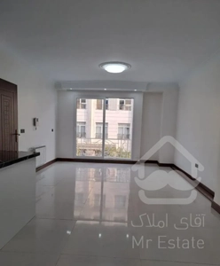 پونک شاهین شمالی