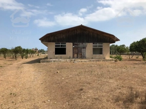 زمین واقع در فرح اباد ساری