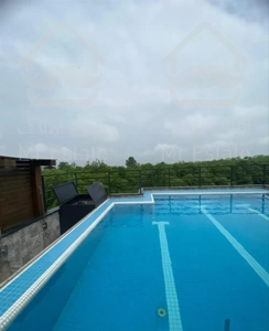 نقلی در دل جنگل های هیرکانی