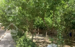 بلوار تعاون ۱۲۵ متر فول امکانات رهن کامل