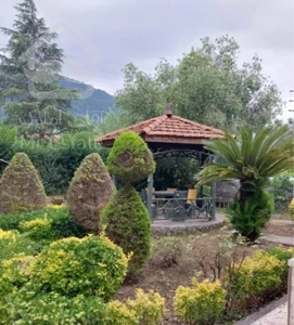 رهن و اجاره نمک آبرود