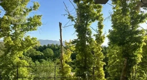 ۲۵۰متر/قلب باغات قصرالدشت