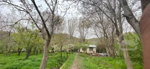 ویلا باغ ،۱۷۰۰ متر لواسان بزرگ