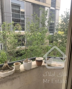 محمودیه فروش ۲۵۰ متر