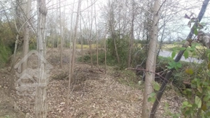 فروش فوری زمین مسکونی، در محل خوش آب و هوا و دنج