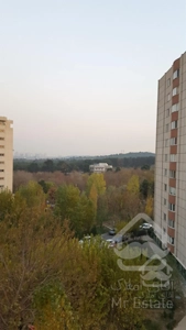 خوش نقشه /ویو ابدی جنگل/ کارشناسی شده