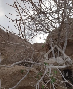 خانه آپارتمان طبقه دوم خوش نقشه