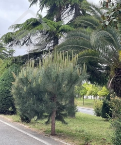 فروش واحد ۶۸ متری در شهرک دریاکنار