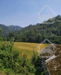 فروش ویلاجنگلی+مزرعه برنج