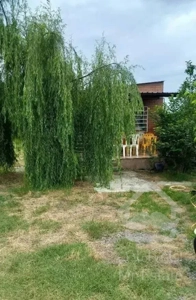 ویلاباغ پانصدمتری باانواع درختان سیاه ریشه قدیمی