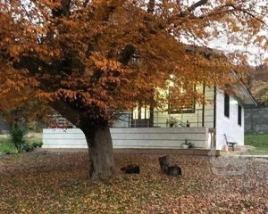 ویلا باغ۱۲۰ متری در جاده ییلاق ماسال