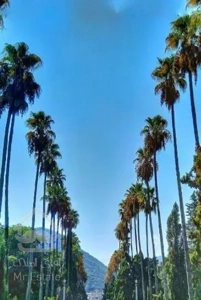 واحدهای دانشجویی مبله دررامسر