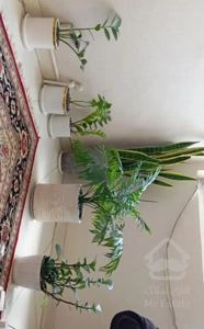 رهن واحد فول امکانات