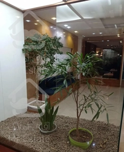 ۸۵متر  وردآورد سندتک برگ ویوابدی