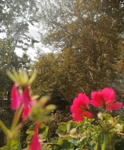 125متر تجریش  دربند فول مبله