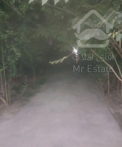 اجاره ویلایی دو خواب خ بابل محسنی