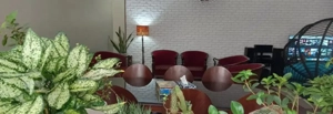 ۱۰۰ متر نوساز شمال پاتریس