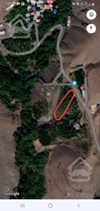 باغ ولیان (سفیدداران)