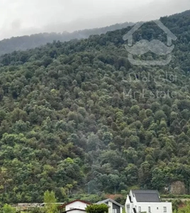 واحد ۱۰۴ متری متل قو دریاگوشه