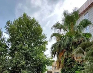 شریعتی مقابل ملک 110 متر دو خواب