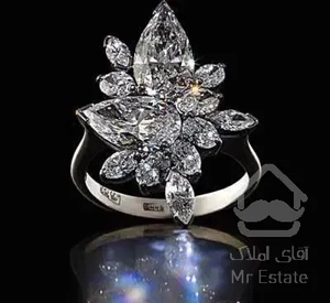 ۳۱۰ متر بزرگمهر جنوبی ،به قیمت واقعی بازار