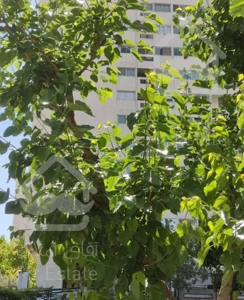 شهرک غرب فاز 2 (هرمزان)250متر 4خواب