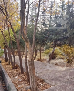 ۲۶۵متر ۳ خ/ یک از ۲/ قدرااسهم ۲۱۶متر