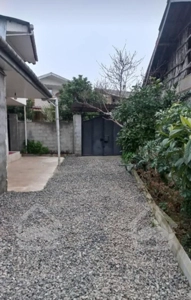 رودسر چینی جان