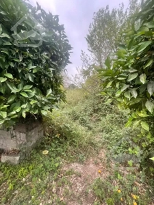 در برند ترین منطقه ملک بخر