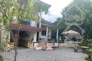 باغچه مازندران با سند رسمی