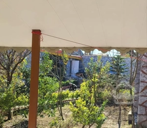 بنا و حیات دار