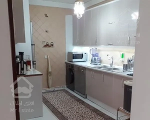 ۸۵متر برق آلستوم(پاک جنوبی)