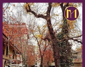 هروی/۲۶۰ متر کلنگی/جواز آماده