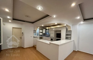 ۱۱۵ متر ۲ پارکینگ/خوش نقشه/دسترسی عالی