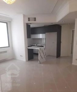 ۵۵ متر ۱ خوابه ، کامرانیه شمالی ، بدون مشابه