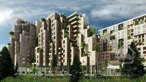 سهام های پروژه شمشاد