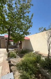 باغ ۳۵۰ متری سند دار خوشنام
