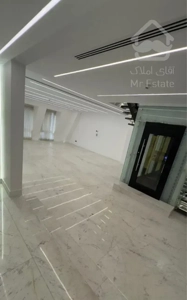 پنت هاووس ۶۰۰ متر تریبلکس دیپلماتیک