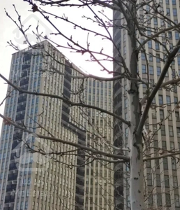 اجاره آپارتمان در برج