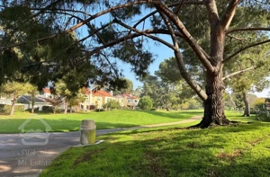 سه خواب تکواحدی