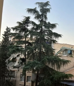 اپارتمان سهروردی  122متر