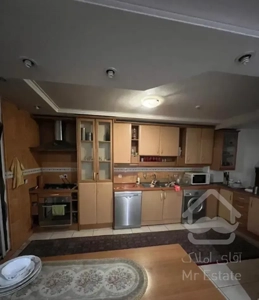 میرداماد ۱۹۵ متر تکواحدی۳ خوابه(پاسیو و حیاط خلوت)