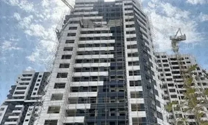 شمیم رحمت نخل 3 (صرفا از مالک)