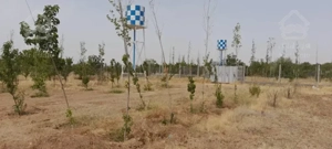 زمین باغ ویلایی 500 متری