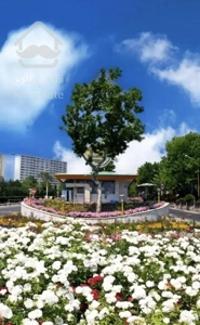 شهرک امید *۱۳۱ متر *۲ خواب *ویو جنگل