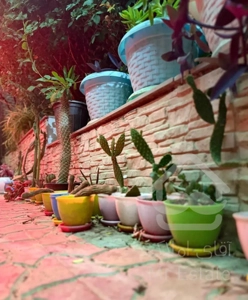 اجاره روزانه ویلا با حیاط اختصاصی