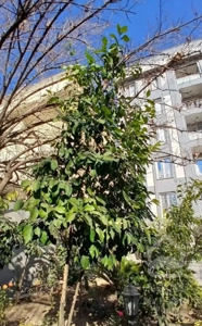 آپارتمان هروی ۱۳۰ متری ۳خوابه بازسازی شده