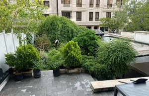 گلستان شمالی  ۲۱۳ متر / ۳ خواب / فایل شخصی