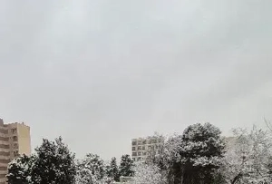 فـروش برج باغ کامیلا/ تیپهای مختلف